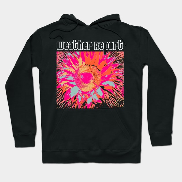 Weather Report Hoodie by Ezahazami